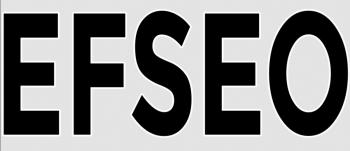 EFSEO - Easy Frontend SEO Pro